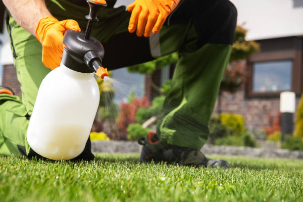 Best Rat Extermination Near Me  in Newark, TX