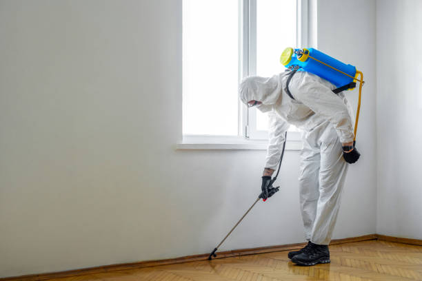 Best Residential Pest Control  in Newark, TX