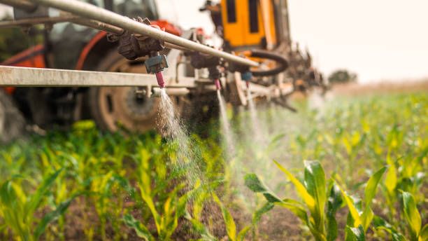 Best Local Pest Control Services  in Newark, TX