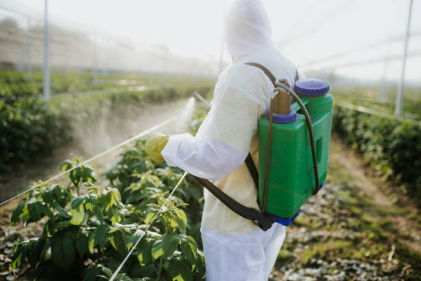 Best Pest Control Treatment  in Newark, TX